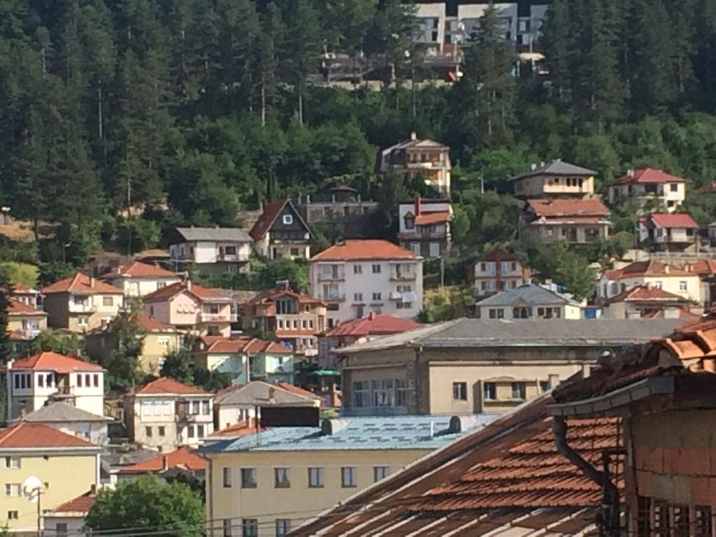 Villa Flora Guesthouse Kruševo Eksteriør billede